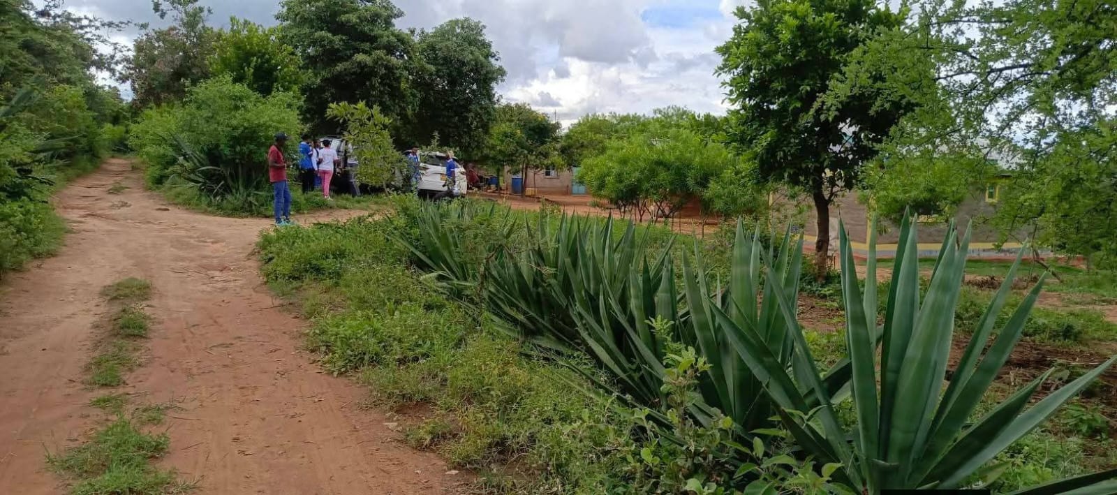 Matuu plot