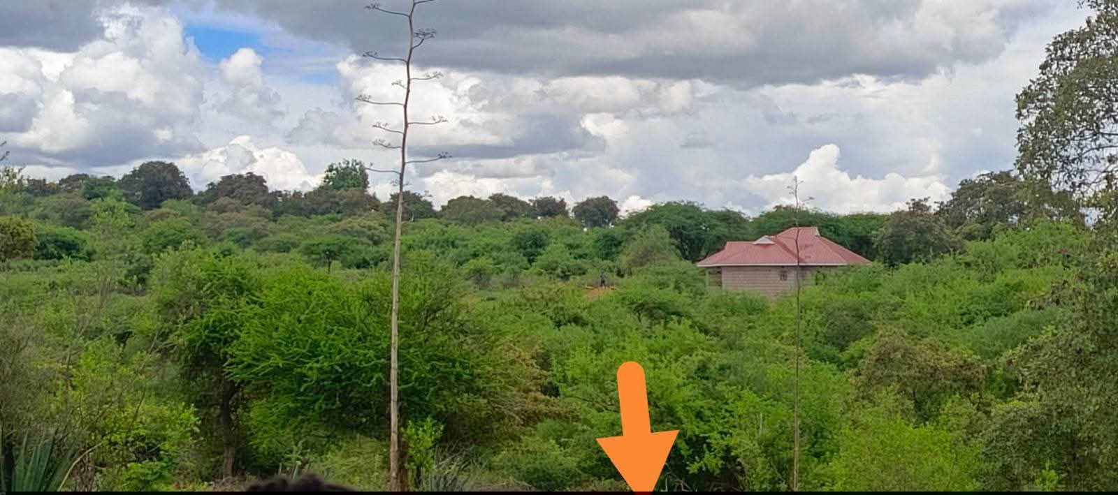 Matuu property photo 3