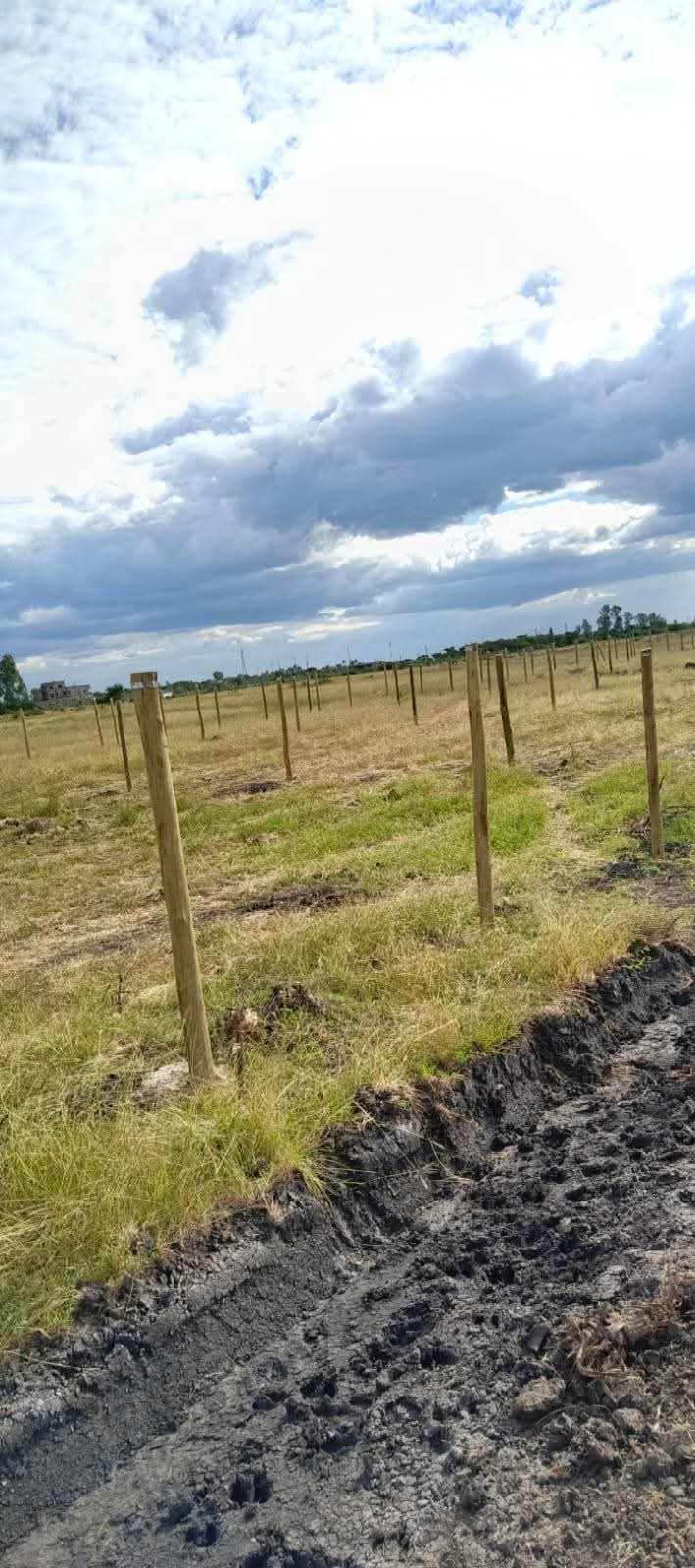 Juja Murage property photo 3